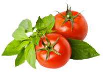 Vegetarian Catering Background Design